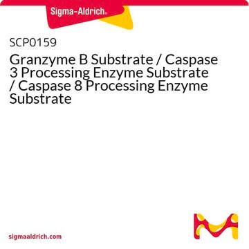 Granzyme B Substrate / Caspase 3 Processing Enzyme Substrate / Caspase 8 Processing Enzyme Substrate