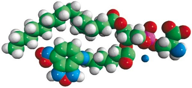 16:0-06:0 NBD PS Avanti Research&#8482; - A Croda Brand 810192P, powder