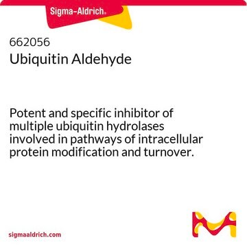 Ubiquitin Aldehyde Potent and specific inhibitor of multiple ubiquitin hydrolases involved in pathways of intracellular protein modification and turnover.