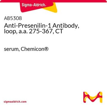 Anti-Presenilin-1 Antibody, loop, a.a. 275-367, CT serum, Chemicon&#174;