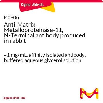 Anti-Matrix Metalloproteinase-11, N-Terminal antibody produced in rabbit ~1&#160;mg/mL, affinity isolated antibody, buffered aqueous glycerol solution