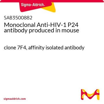 Monoclonal Anti-HIV-1 P24 antibody produced in mouse clone 7F4, affinity isolated antibody