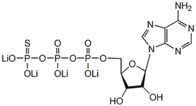 Adenosine 5&#8242;-O-(3-Thiotriphosphate), Solution, Tetralithium Salt A phosphatase-resistant ATP analogue.