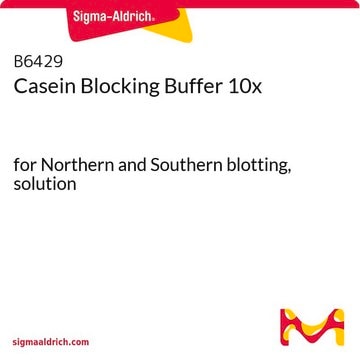 Casein Blocking Buffer 10x for Northern and Southern blotting, solution