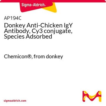 Donkey Anti-Chicken IgY Antibody, Cy3 conjugate, Species Adsorbed Chemicon&#174;, from donkey