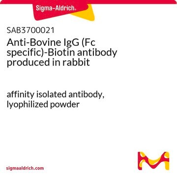 Anti-Bovine IgG (Fc specific)-Biotin antibody produced in rabbit affinity isolated antibody, lyophilized powder