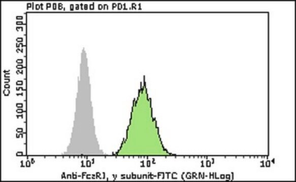 Milli-Mark&#174; Anti-Fc&#949;RI Antibody, &#947; subunit-FITC Milli-Mark&#174;, from rabbit