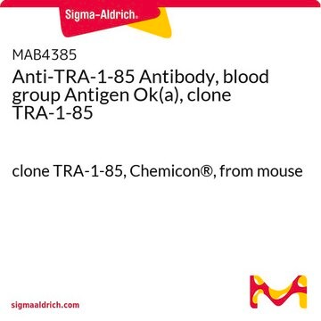 Anti-TRA-1-85 Antibody, blood group Antigen Ok(a), clone TRA-1-85 clone TRA-1-85, Chemicon&#174;, from mouse