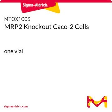 MRP2 Knockout Caco-2 Cells one vial