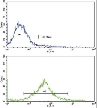 ANTI-C-KIT(N-TERMINAL) antibody produced in rabbit IgG fraction of antiserum, buffered aqueous solution