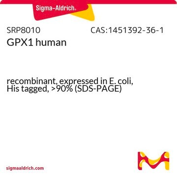 GPX1 human recombinant, expressed in E. coli, His tagged, &gt;90% (SDS-PAGE)