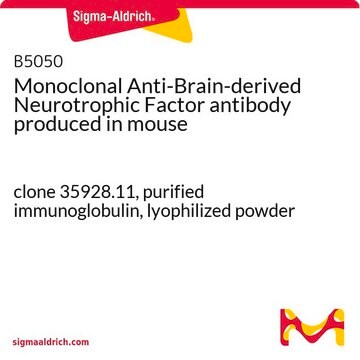 Monoclonal Anti-Brain-derived Neurotrophic Factor antibody produced in mouse clone 35928.11, purified immunoglobulin, lyophilized powder