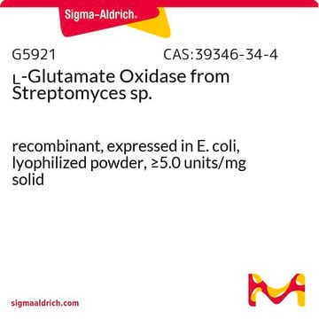 L-Glutamate Oxidase from Streptomyces sp. recombinant, expressed in E. coli, lyophilized powder, &#8805;5.0&#160;units/mg solid