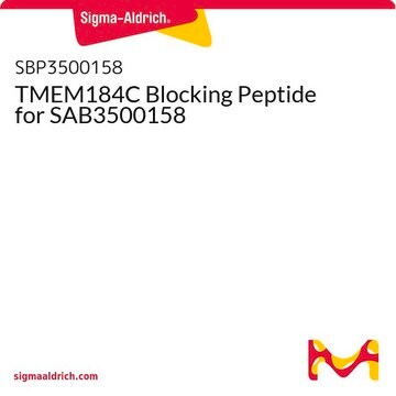 TMEM184C Blocking Peptide for SAB3500158