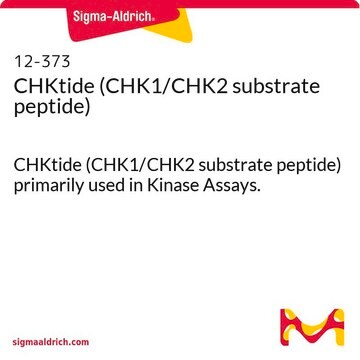 CHKtide（CHK1/CHK2基質ペプチド） CHKtide (CHK1/CHK2 substrate peptide) primarily used in Kinase Assays.