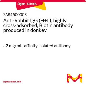 Anti-Rabbit IgG (H+L), highly cross-adsorbed, Biotin antibody produced in donkey ~2&#160;mg/mL, affinity isolated antibody