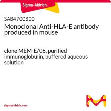 Monoclonal Anti-HLA-E antibody produced in mouse clone MEM-E/08, purified immunoglobulin, buffered aqueous solution