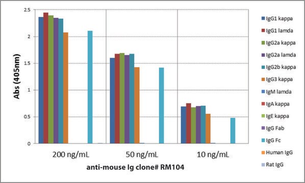 Anti-Mouse IgG-Biotin antibody, Rabbit monoclonal recombinant, expressed in HEK 293 cells, clone RM104, purified immunoglobulin