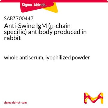 Anti-Swine IgM (&#956;-chain specific) antibody produced in rabbit whole antiserum, lyophilized powder