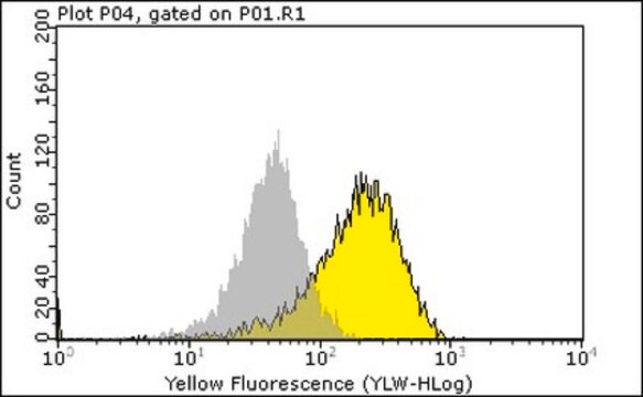 Anti-phospho-EGFR (Tyr845) Antibody, clone 12A3 clone 12A3, Upstate&#174;, from mouse