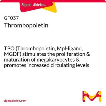 Thrombopoietin TPO (Thrombopoietin, Mpl-ligand, MGDF) stimulates the proliferation &amp; maturation of megakaryocytes &amp; promotes increased circulating levels of platelets in vivo.