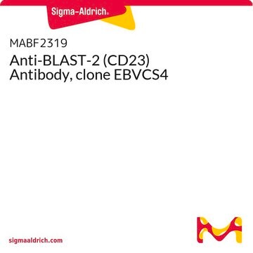 Anti-BLAST-2 (CD23) Antibody, clone EBVCS4