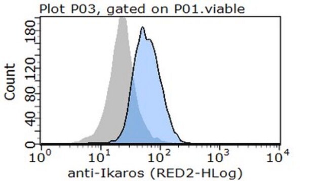 Anti-Ikaros Antibody, clone 4E9 clone 4E9, from mouse