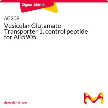 Vesicular Glutamate Transporter 1, control peptide for AB5905