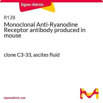 Monoclonal Anti-Ryanodine Receptor antibody produced in mouse clone C3-33, ascites fluid