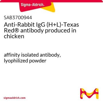 Anti-Rabbit IgG (H+L)-Texas Red&#174; antibody produced in chicken affinity isolated antibody, lyophilized powder