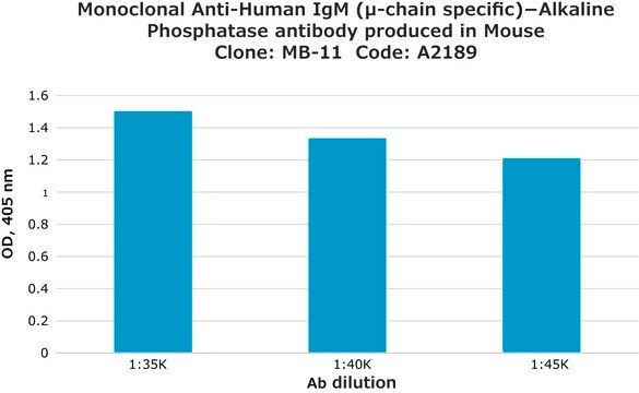 Anti-Human IgM (&#956;-chain specific)-Alkaline Phosphatase, Mouse monoclonal clone MB-11, purified from hybridoma cell culture