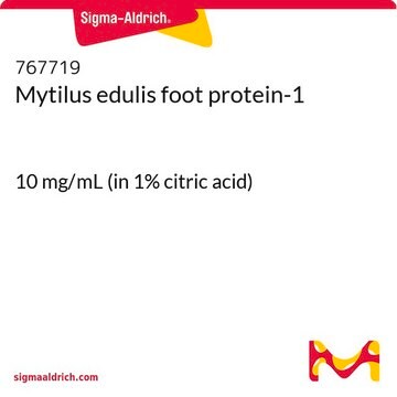 Mytilus edulis foot protein-1 10&#160;mg/mL (in 1% citric acid)