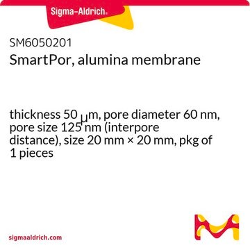 SmartPor, alumina membrane thickness 50&#160;&#956;m, pore diameter 60&#160;nm, pore size 125&#160;nm (interpore distance), size 20&#160;mm × 20&#160;mm, pkg of 1&#160;pieces