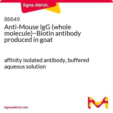 Anti-Mouse IgG (whole molecule)&#8722;Biotin antibody produced in goat affinity isolated antibody, buffered aqueous solution