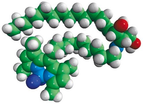 C11 TopFluor&#8482; Ceramide N-[11-(dipyrrometheneboron difluoride)undecanoyl]-D-erythro-sphingosine, powder