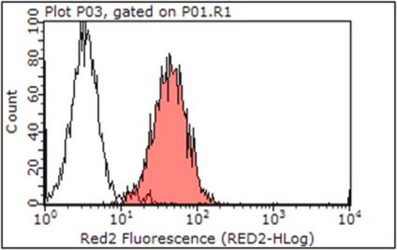 Anti-mouse Integrin alphaV Antibody, clone RMV-7 (Preservative free) clone RMV-7, from rat