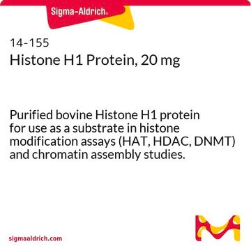 Histone H1 Protein, 20 mg Purified bovine Histone H1 protein for use as a substrate in histone modification assays (HAT, HDAC, DNMT) and chromatin assembly studies.