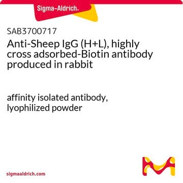 Anti-Sheep IgG (H+L), highly cross adsorbed-Biotin antibody produced in rabbit affinity isolated antibody, lyophilized powder