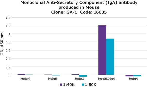 Monoclonal Anti-Secretory Component (IgA) antibody produced in mouse clone GA-1, ascites fluid