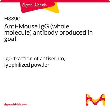 抗マウスIgG (全分子) ヤギ宿主抗体 IgG fraction of antiserum, lyophilized powder