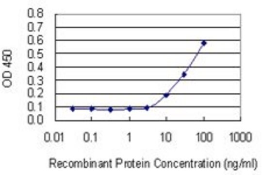 Monoclonal Anti-TIMP3, (C-terminal) antibody produced in mouse clone 1D8, purified immunoglobulin, buffered aqueous solution