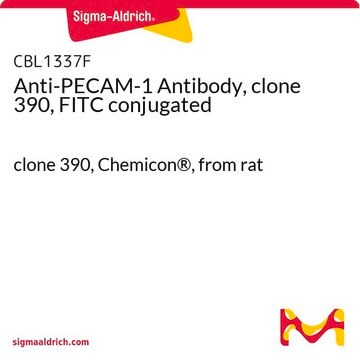 Anti-PECAM-1 Antibody, clone 390, FITC conjugated clone 390, Chemicon&#174;, from rat