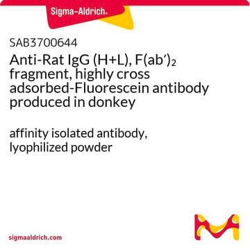 Anti-Rat IgG (H+L), F(ab&#8242;)2 fragment, highly cross adsorbed-Fluorescein antibody produced in donkey affinity isolated antibody, lyophilized powder