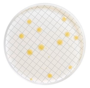 Milliflex&#174; Pre-filled Media Cassettes Plate Count Agar, for aerobic bacteria, pack of 48&#160;tests, suitable for bioburden testing