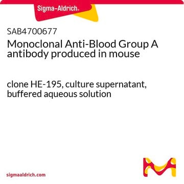 Monoclonal Anti-Blood Group A antibody produced in mouse clone HE-195, culture supernatant, buffered aqueous solution