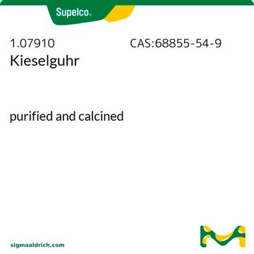 Kieselguhr purified and calcined