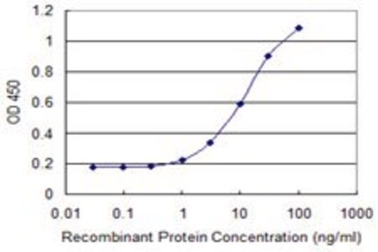 Monoclonal Anti-BMP5 antibody produced in mouse clone 1C1, purified immunoglobulin, buffered aqueous solution