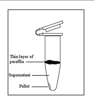 EX-WAX Paraffin-embedded DNA Extraction Kit