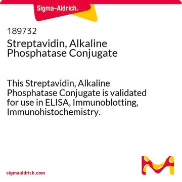 Streptavidin, Alkaline Phosphatase Conjugate This Streptavidin, Alkaline Phosphatase Conjugate is validated for use in ELISA, Immunoblotting, Immunohistochemistry.