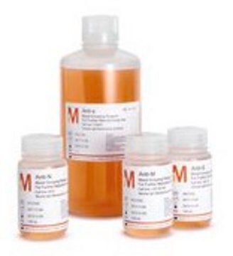 Anti-s (clones MNS4/P3BER), FFMU Anti-s from the clone P3BER, Human IgM, Intermediate for further manufacturing use